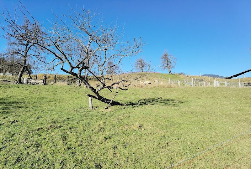 Cerkev Marije Pomočnice - dodatna slika