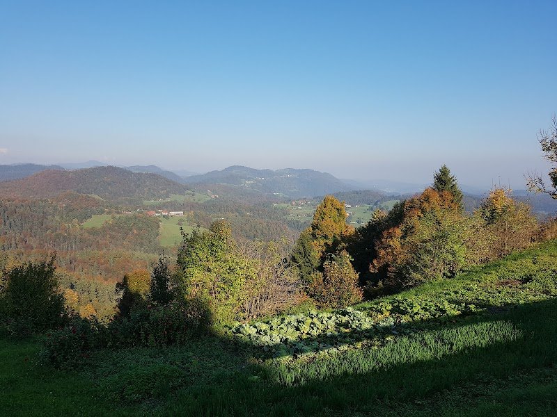 Cerkev Marije Vnebovzete - dodatna slika
