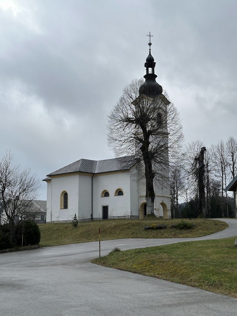 Cerkev Marijinega vnebovzetja