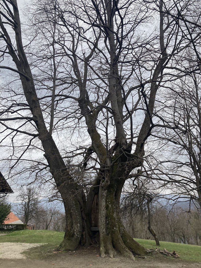 Cerkev Svetega Mohorja - dodatna slika