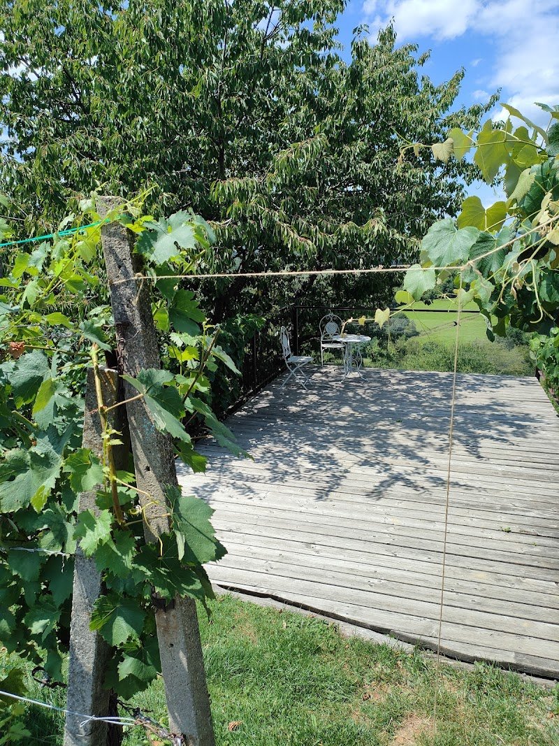 Cerkev sv. Kancijana - dodatna slika