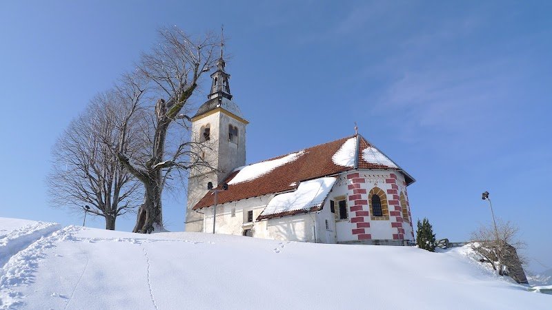 Cerkev sv. Mohorja in Fortunata