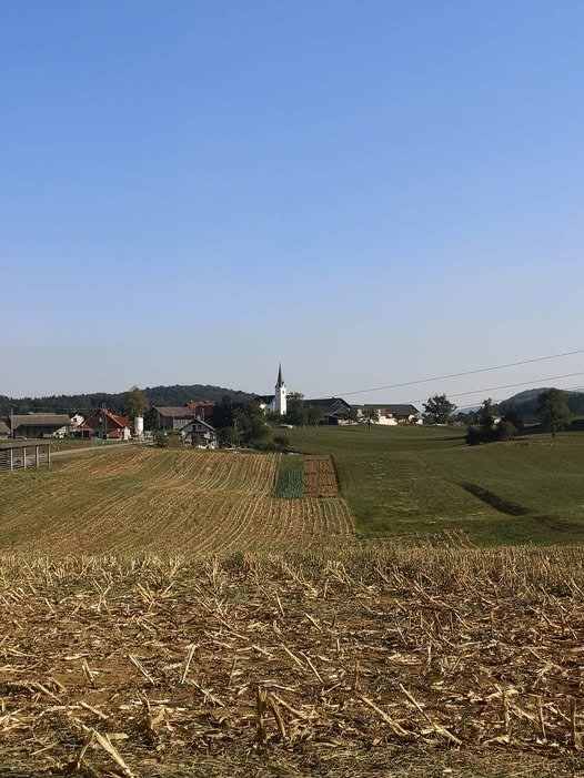 Cerkev sv. Neža - dodatna slika