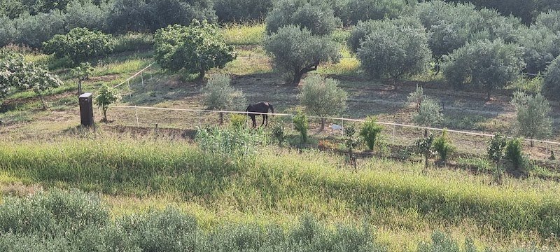 Cerkev sv. Petra - dodatna slika