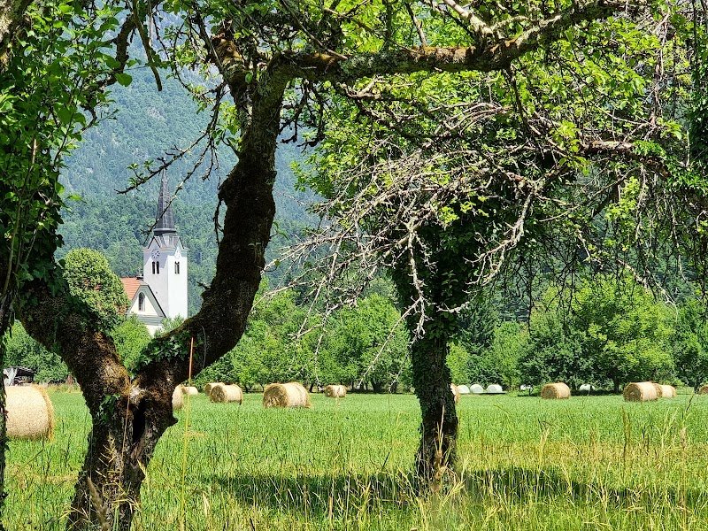 Cerkev sv. Petra in Pavla - dodatna slika