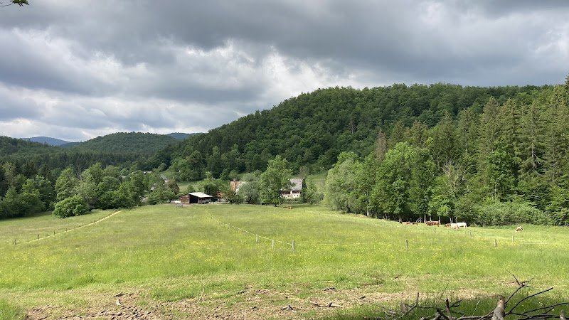 Cerkev sv. Štefana - dodatna slika