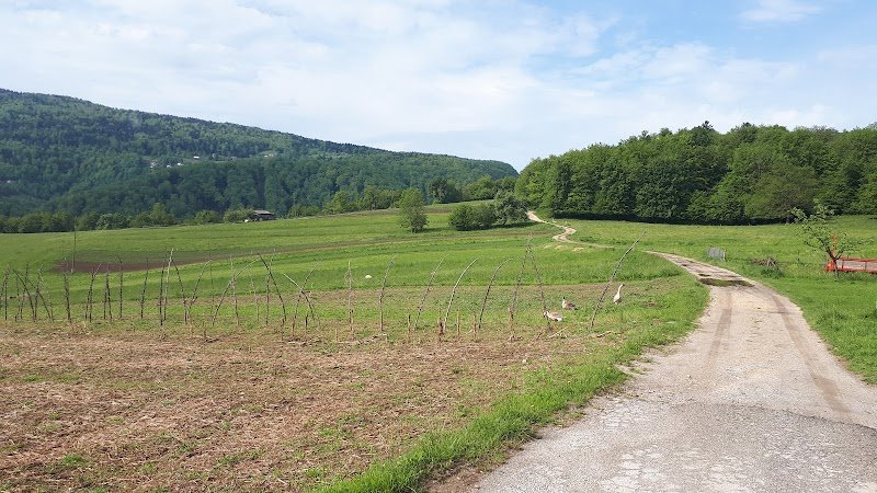Cerkev svetega Križa - dodatna slika