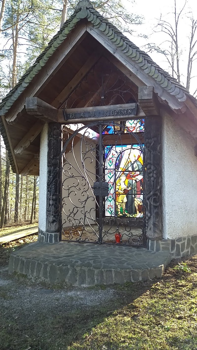 Devica Marija na Kamnu - dodatna slika