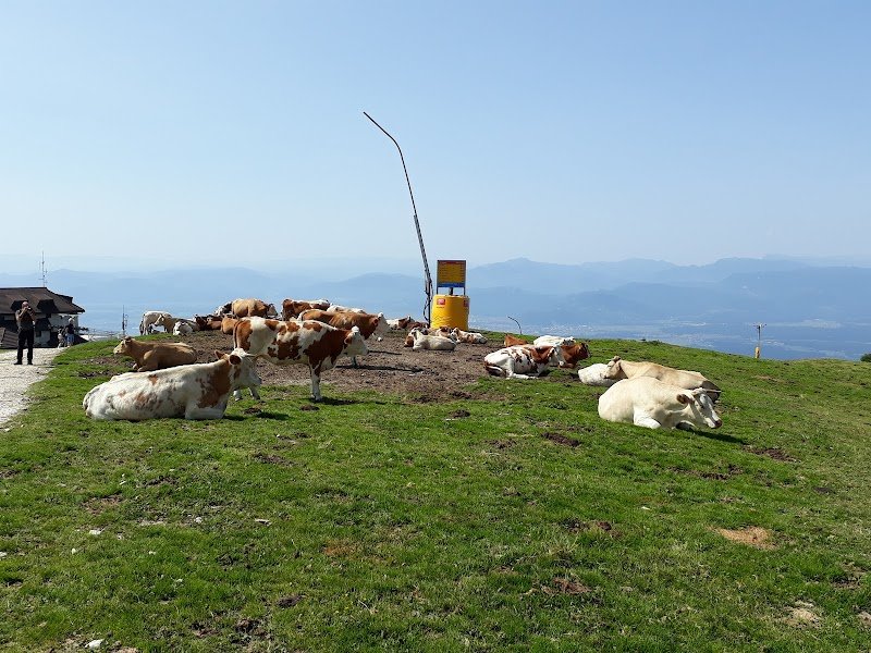 Kapela Marije Snežne - dodatna slika