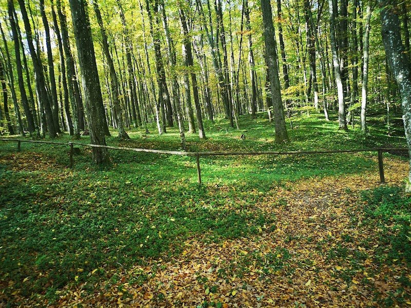 Kapela sv. Vida - dodatna slika