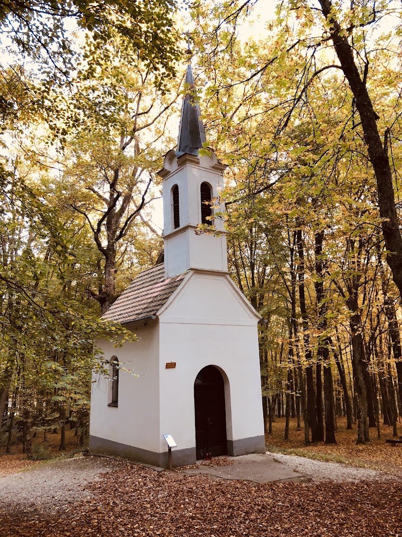 Kapela sv. Vida