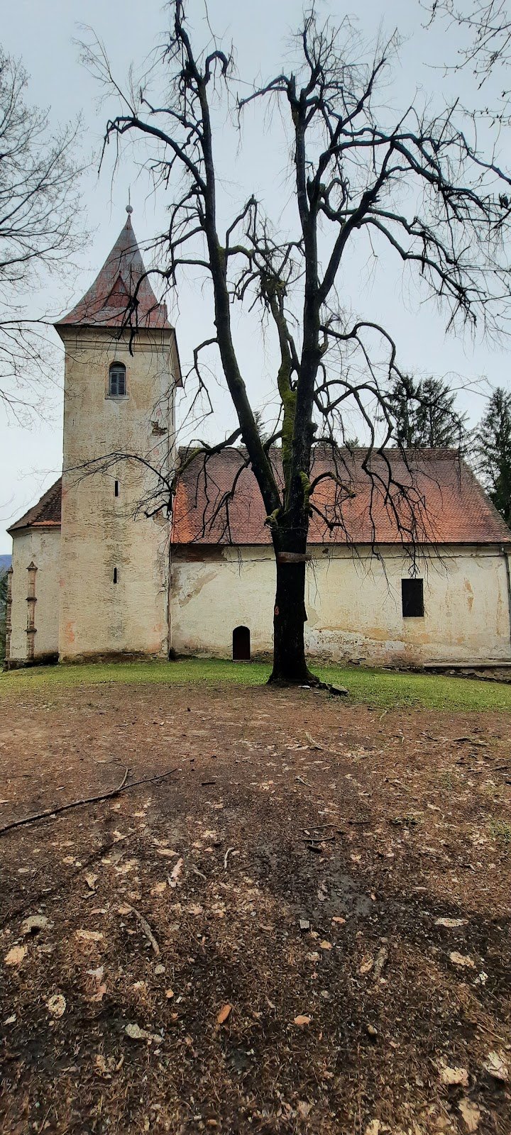 Sv. Janez Krstnik