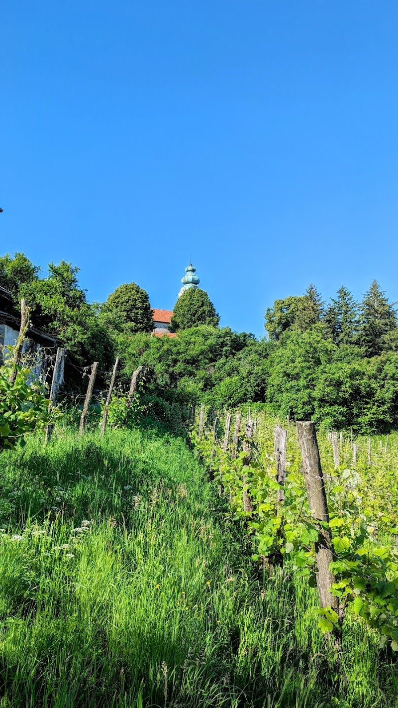 Sv. Nikolaj - dodatna slika