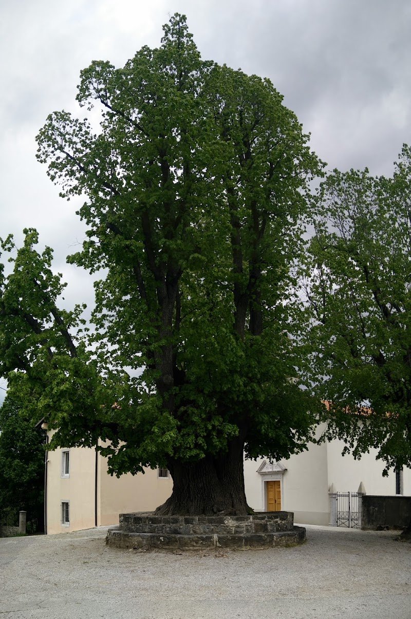 Sv. Peter - dodatna slika