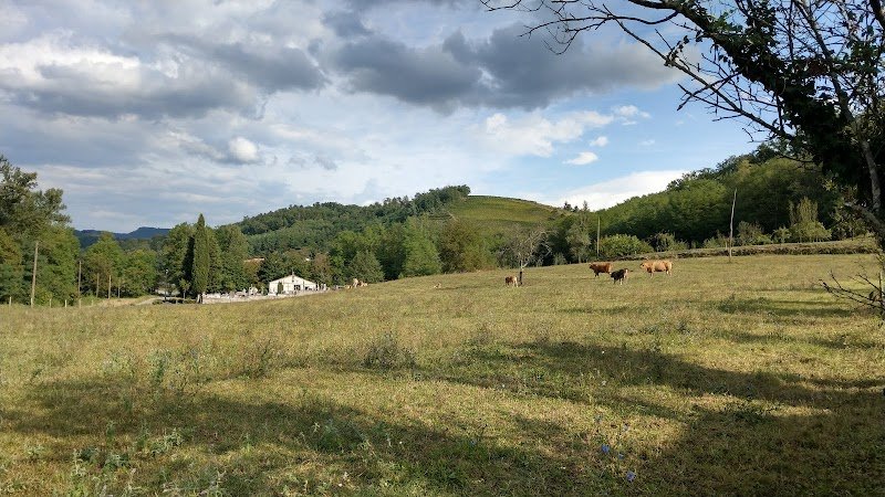 Sveta Katarina - dodatna slika