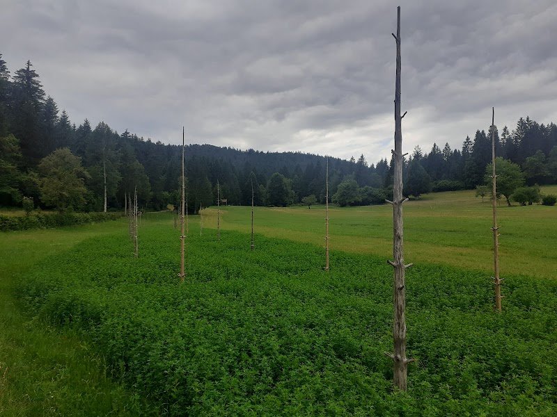 Sveta Marjeta - dodatna slika