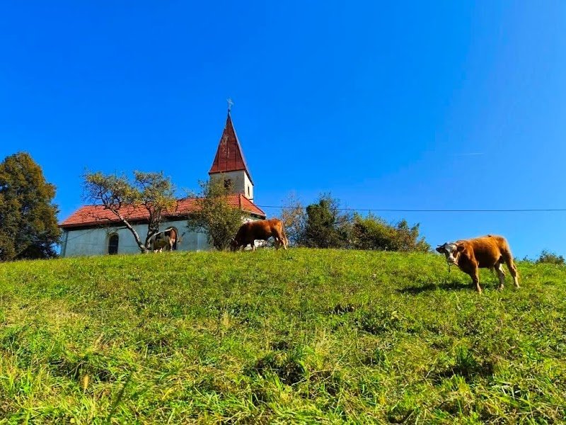 Sveta Neža - dodatna slika