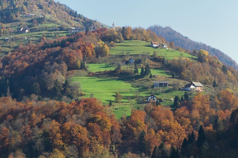 Sveta Uršula - dodatna slika