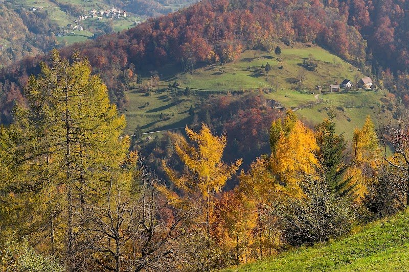 Sveta Uršula - dodatna slika