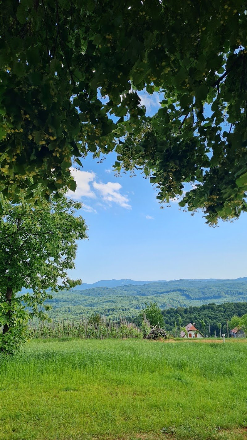 Sveta Uršula - dodatna slika