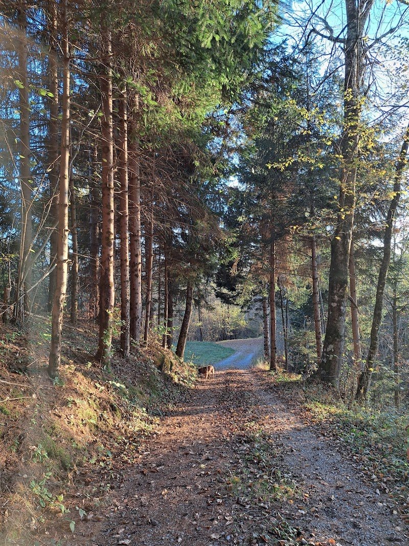 Sveti Anton - dodatna slika