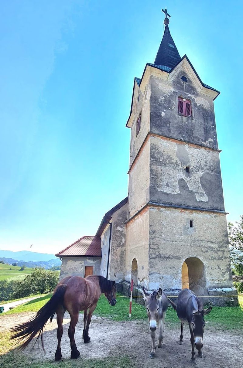 Sveti Janez Krstnik - dodatna slika