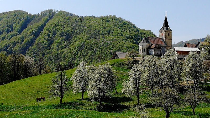 Sveti Janez Krstnik