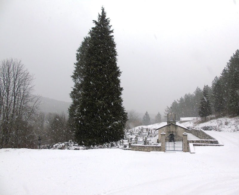 Sveti Kancijan