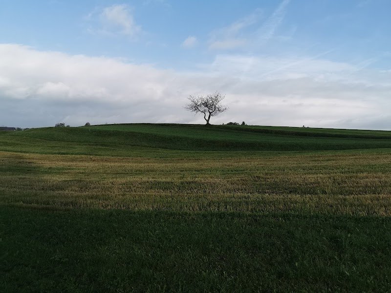 Sveti Lenart - dodatna slika