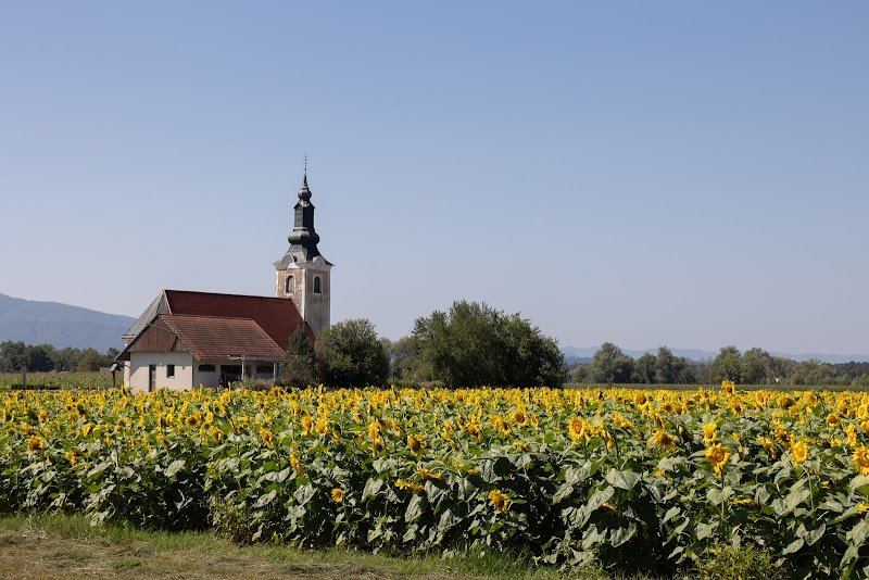 Sveti Miklavž - dodatna slika