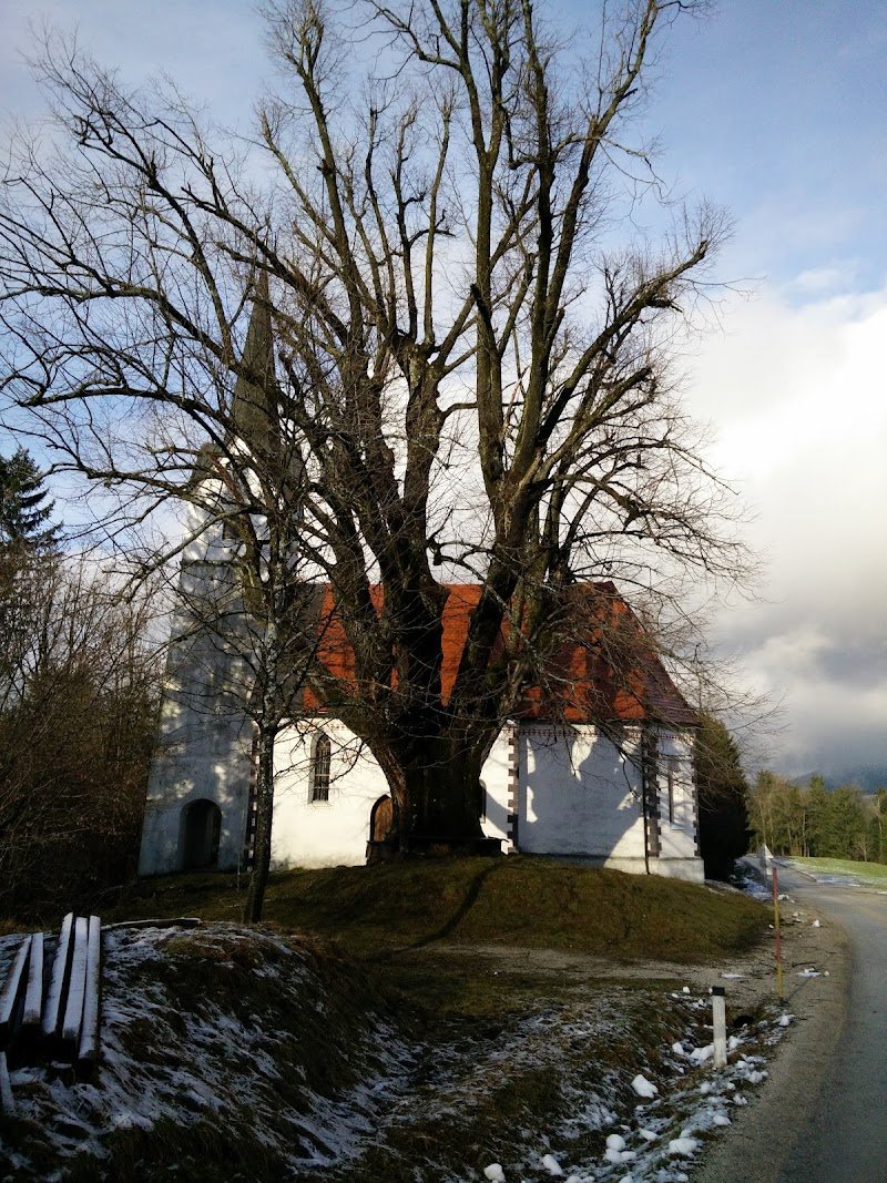 Sveti Mohor in Fortunat - dodatna slika