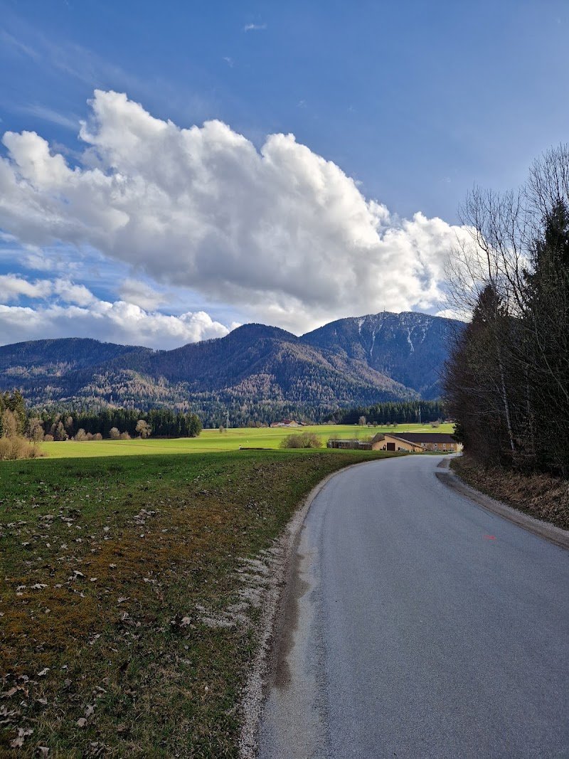 Sveti Mohor in Fortunat - dodatna slika