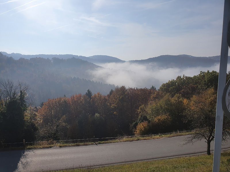 Sveti Mohor in Fortunat - dodatna slika