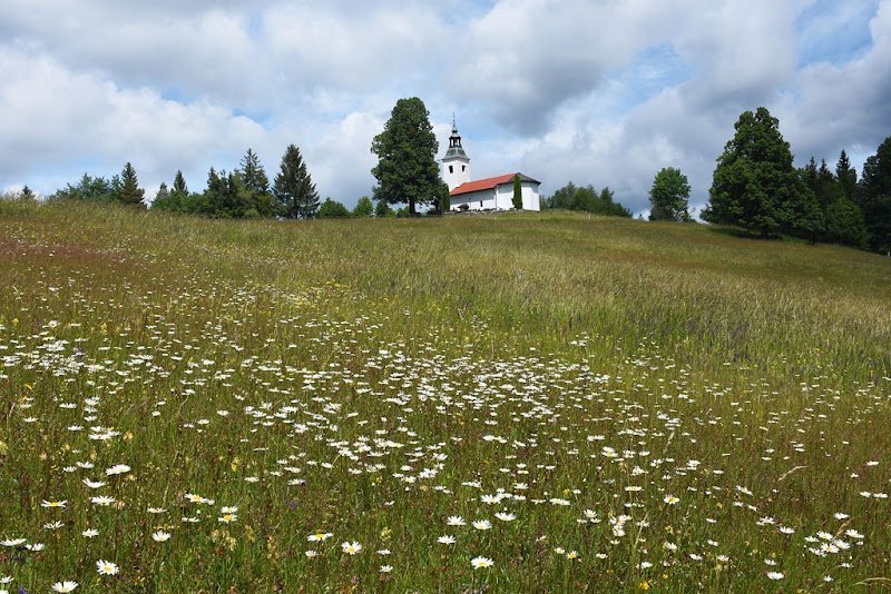 Sveti Primož - dodatna slika