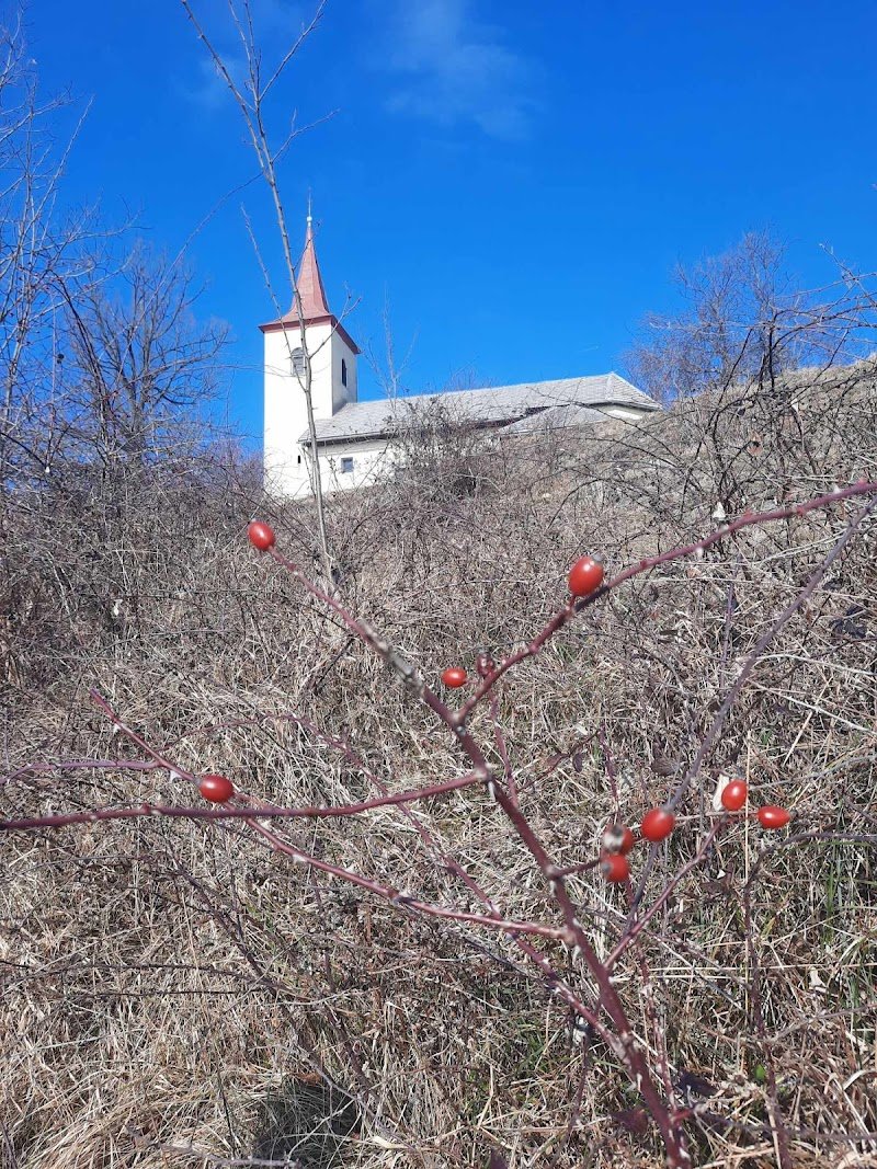 Sveti Primož in Felicijan - dodatna slika