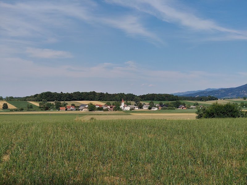 Sveti Vid