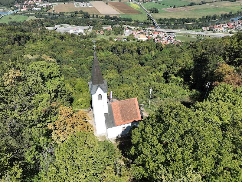 Sveti Vid