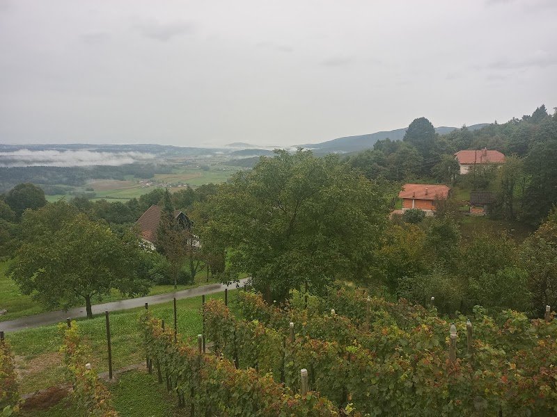Sveti Vid - dodatna slika