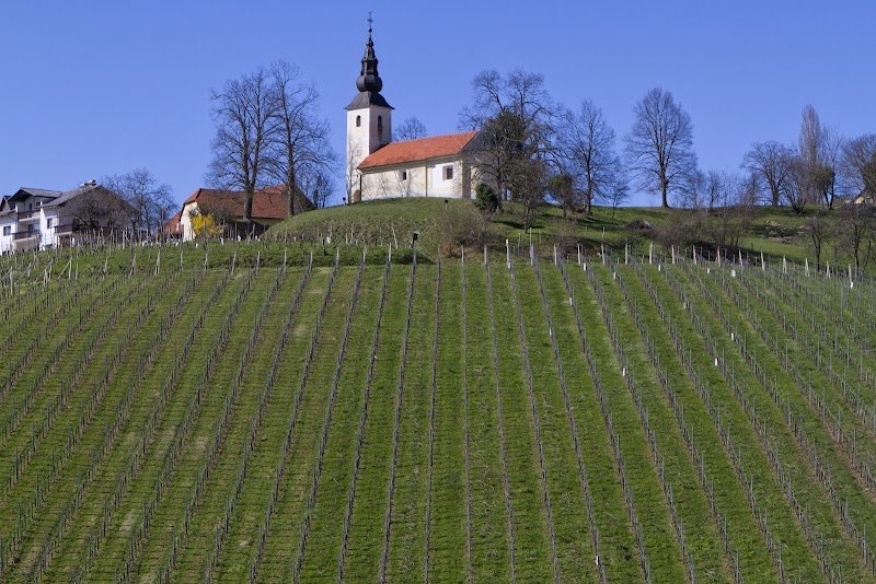Sveti Vid - dodatna slika