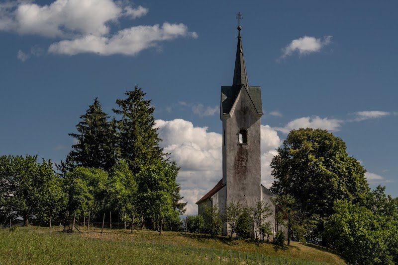Sveti Vid
