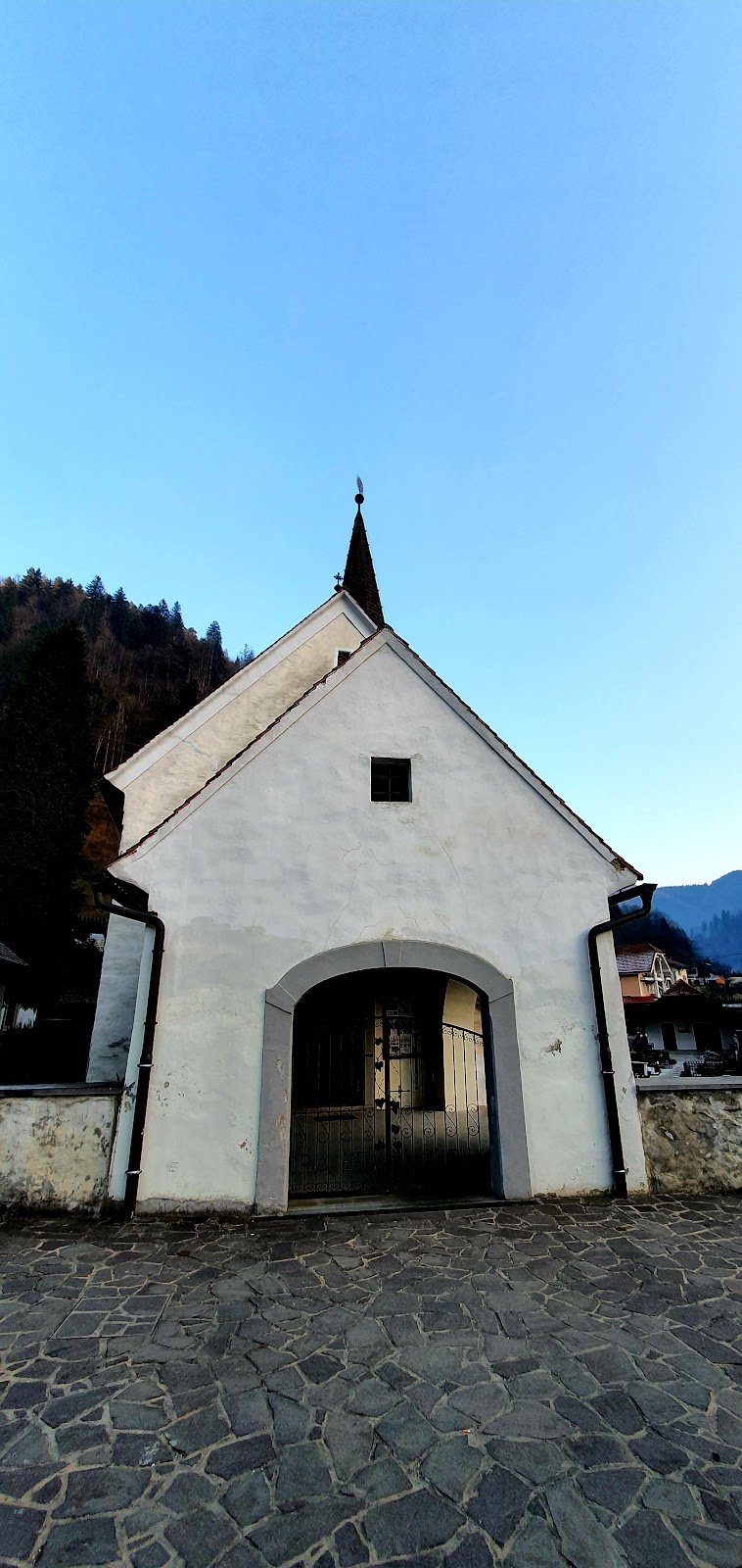 Župnijska cerkev Marijinega Vnebovzetja - dodatna slika