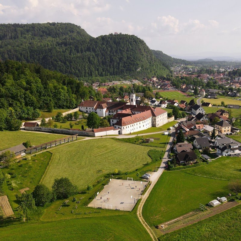 Župnijska cerkev Marijinega Vnebovzetja - dodatna slika