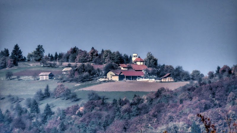 Župnijska cerkev Marijinega vnebovzetja - dodatna slika