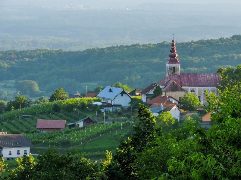 Župnijska cerkev Marijinega vnebovzetja - dodatna slika