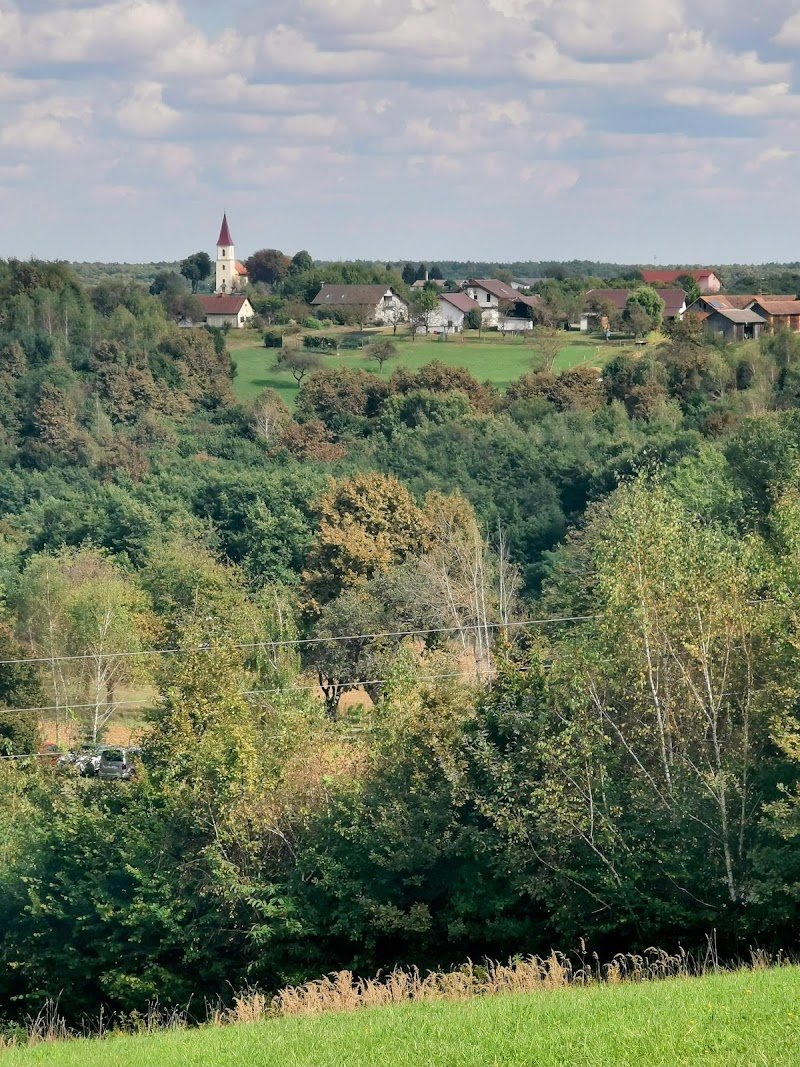 Župnijska cerkev sv. Miklavža - dodatna slika