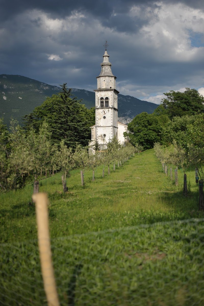 Župnijska cerkev sv. Mohorja in Fortunata - dodatna slika