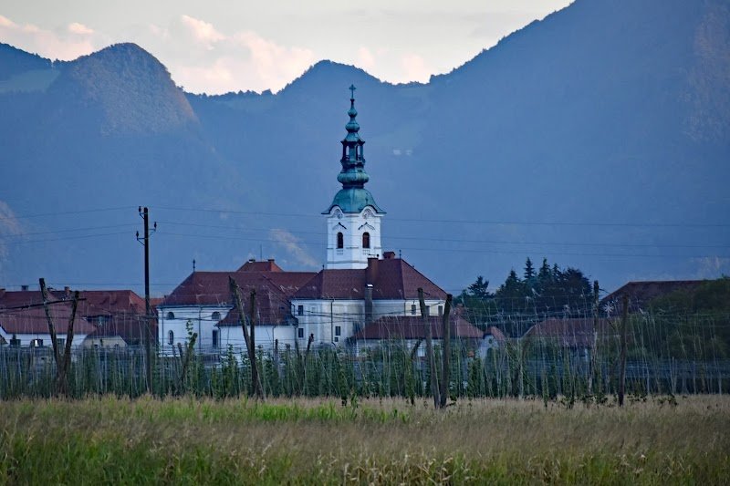 Župnijska cerkev sv. Petra - dodatna slika