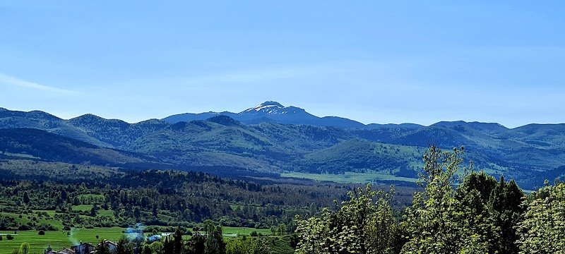 Župnijska cerkev sv. Petra - dodatna slika