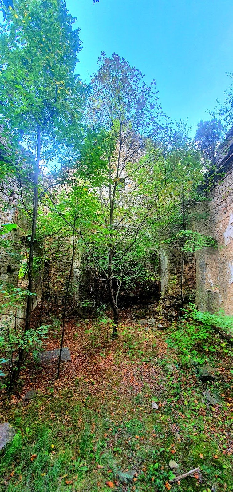 way/492595597 - dodatna slika