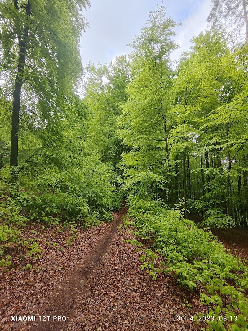 way/877692443 - dodatna slika